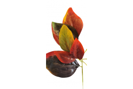Větev podzimní 48 cm