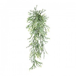 Parožnatka převis zelený 75 cm