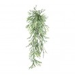 Parožnatka závěsná zelená, 75 cm