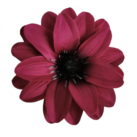 Dahlia