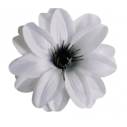 Jiřina Dahlia bílá vazbová Ø 12 cm