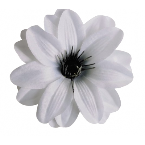 Dahlia