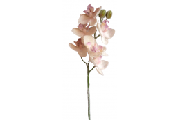 Orchidej zasněžená bílo-fialová 38 cm