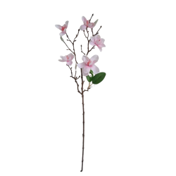 Magnolie větvička x5 66 cm