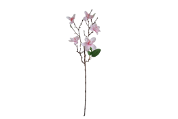 Magnolie větvička x5 66 cm