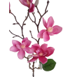Magnolie větvička x5