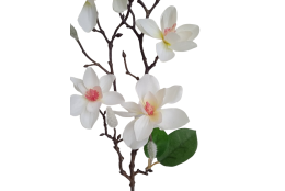 Magnolie krémová větvička 66 cm