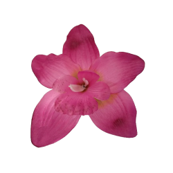 Orchidej vínová vazbová Ø 14 cm