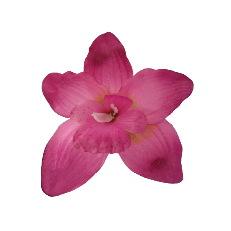 Orchidej