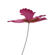 Orchidej