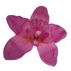 Orchidej fialová vazbová Ø 14 cm
