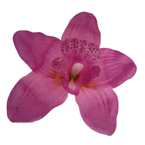 Orchidej