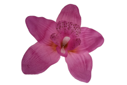Orchidej fialová vazbová Ø 14 cm