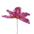 Orchidej