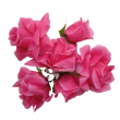Polotovar - květy růže 2, 3 barvy