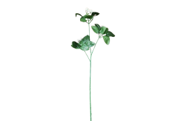 Polotovar růže - stonek