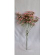 Gypsophilia