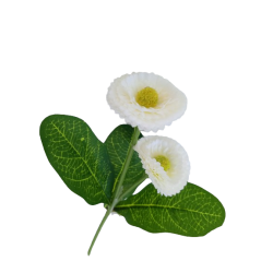 Bellis bílý 31 cm