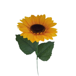 Slunečnice velká 70 cm