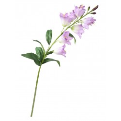Zvonky fialové 70 cm