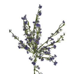 Tráva letní gypsophila fialová