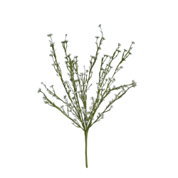 Tráva letní gypsophila bílá