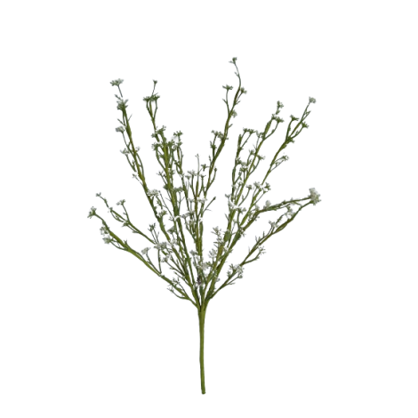 Tráva letní gypsophila bílá