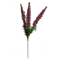 Vřes starorůžový 30 cm