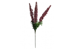 Vřes starorůžový 30 cm