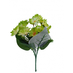 Kopretina kytička zelená 30 cm