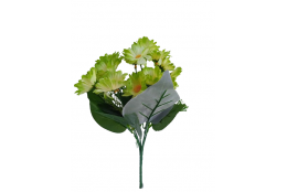 Kopretina kytička zelená 30 cm