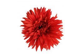 AA Gerbera oranžová 54 cm