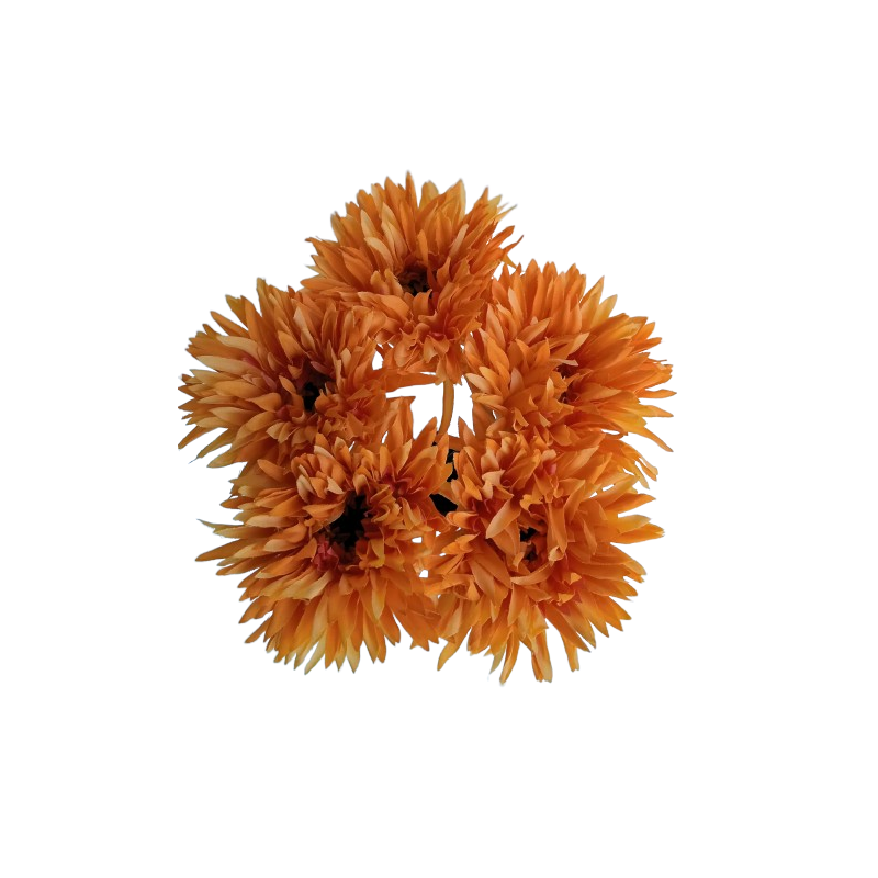 Gerbera  - krémová