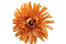 AA Gerbera žlutá 54 cm