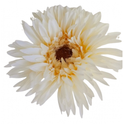 AA Gerbera krémová 54 cm