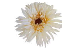 AA Gerbera krémová 54 cm