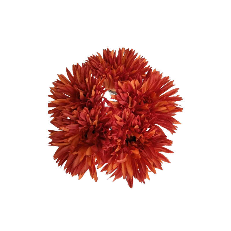 Gerbera  - krémová