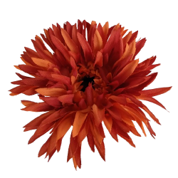 AA Gerbera oranžovo-hnědá 54 cm