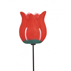Tulipán červený na tyčce