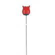 Tulipán červený na tyčce Tulipán červený na tyčce