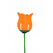 Tulipán oranžový na tyčce Tulipán oranžový na tyčce