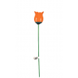 Tulipán oranžový na tyčce Tulipán oranžový na tyčce