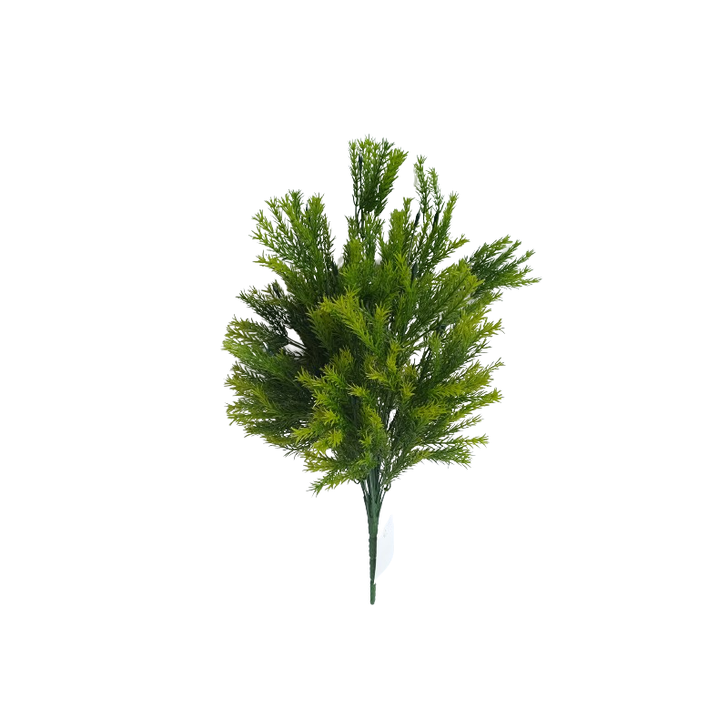 Asparagus svazek