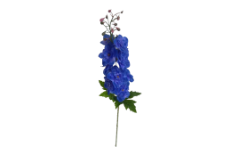 A A Delphinium tm. modré 79 cm