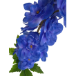 Delphinium