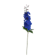 Delphinium