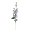 AA Delphinium bílé, v. 97 cm