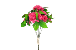Chryzantéma svazek beauty 39 cm