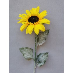 Slunečnice sv. žlutá 62 cm