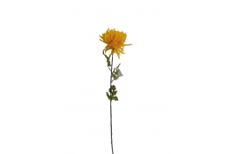 AA Chryzantéma tm. žlutá 70 cm